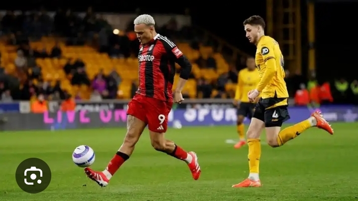 Wolves Lost to Fulham at Home