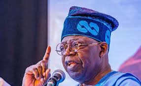 TINUBUNOMICS BUDGET INCREASE: Expert Expreses Worries
