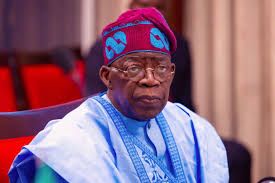 Tinubu Focused on Economic Growth, Not Re-Election, Says Aide
