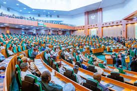Reps Urge FG to Provide Urgent Relief to Flood Victims