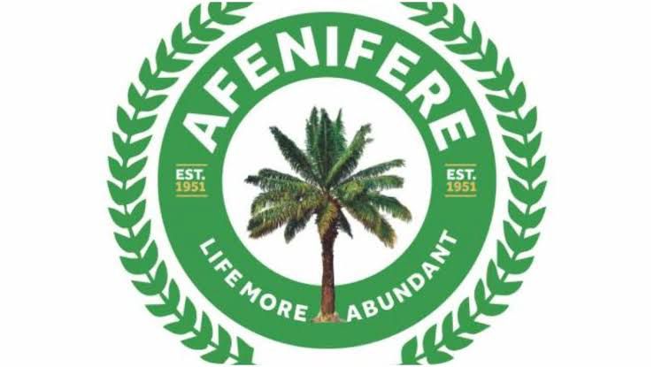 Afenifere Urges Joint FG-State Task Force to Tackle South-West Insecurity