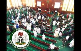 Reps Probe FRSC Over Driver’s License Revenue