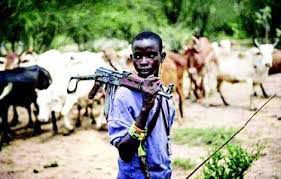 Borno Mob Kills Two Robbers After Attack on Herders