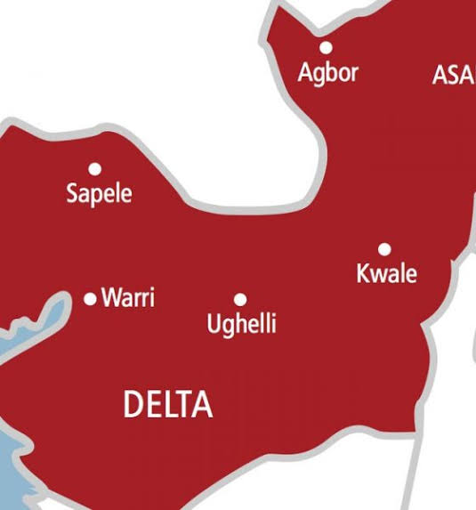 Rising Insecurity Sparks Daily Protests in Delta