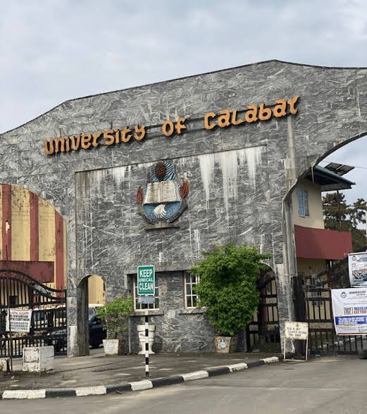 Clinical Lecturers Begin Indefinite Strike Over Exclusion from VC Race