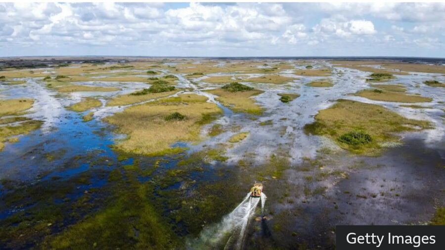 Florida’s “Alligator Alcatraz” Migrant Detention Center Concerns
