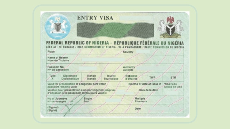 Tinubu Didn’t Halt 5-Year Visa for Americans – Presidency
