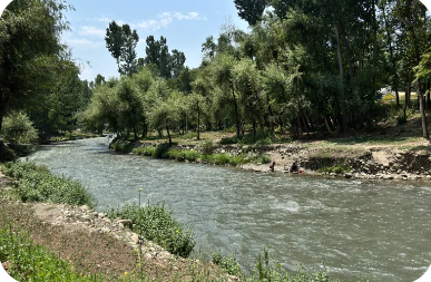 Rediscovery of Eurasian Otters in Kashmir Sparks Hope