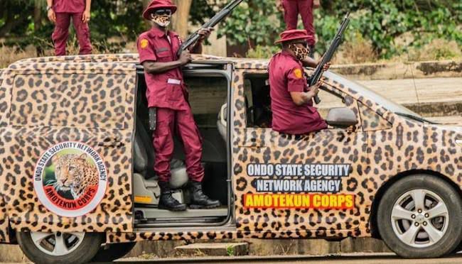 Two Amotekun operatives arrested for cocoa theft