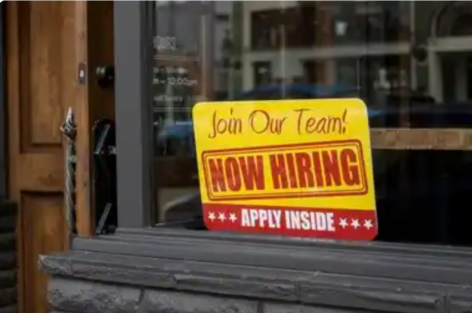 US labour market slows down amid economic uncertainty