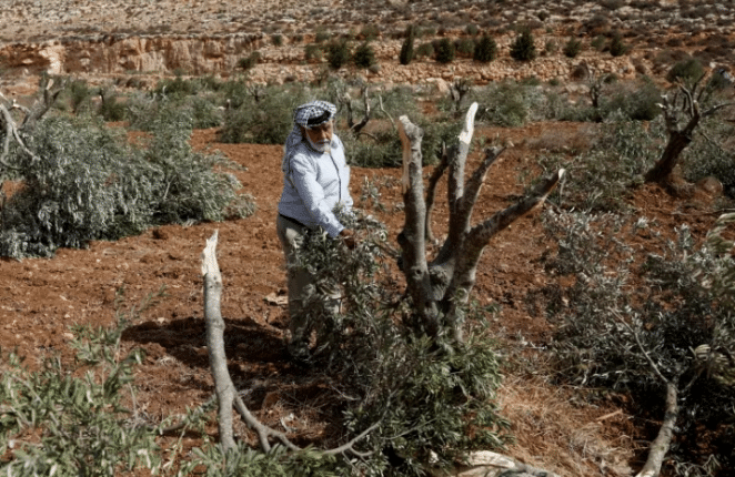 Israeli settlers attack Palestinians