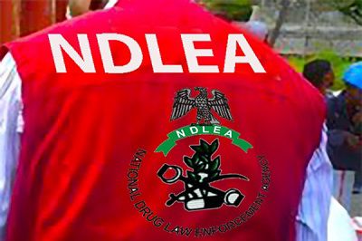 NDLEA,