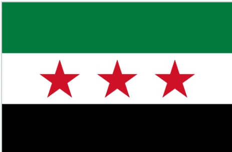 Syrian asylum in Germany