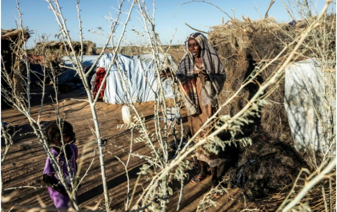 A report on the Israeli strike on refugee camp in Lebanon, examining deaths, injuries, humanitarian concerns, regional tensions, and community reactions amid escalating cross-border instability.