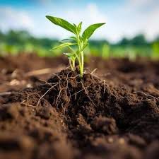 soil degradation