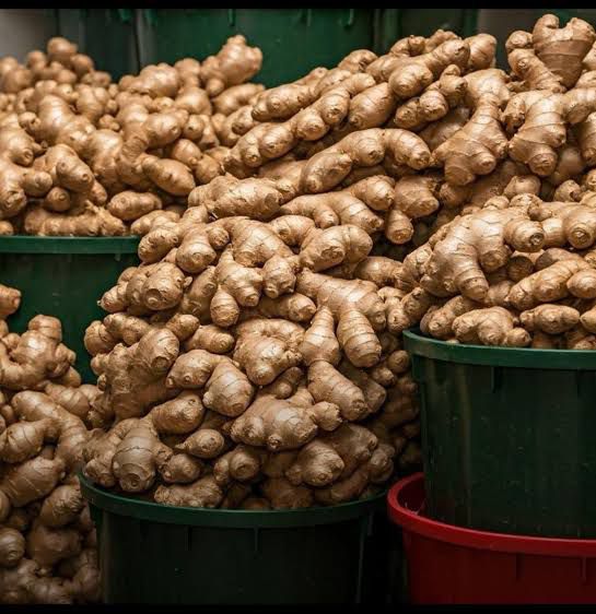 global ginger market