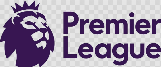 Premier League drops hammer: Tunisia star hit with four-match ban for spitting at Leeds fans