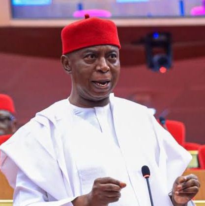 Ned Nwoko condemns online attacks, calls for immediate legal action