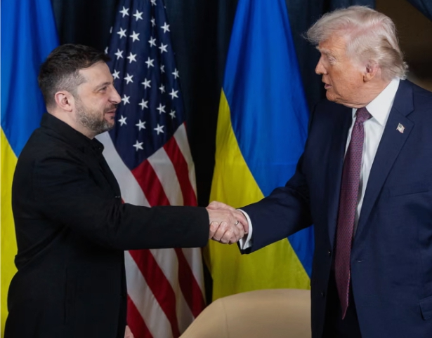 Zelenskyy tells Europe to stand up for itself over Trump, Greenland crisis