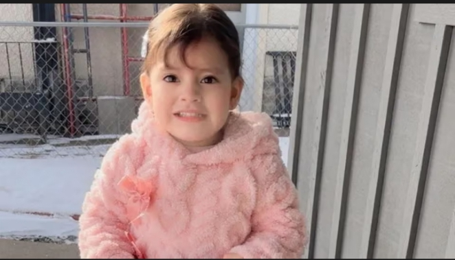 US immigration agents detain two-year-old Minnesota girl in late-night transfer despite judge’s order