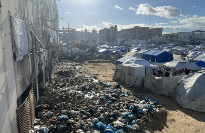 Gaza Tent Life: Between illness and daily despair