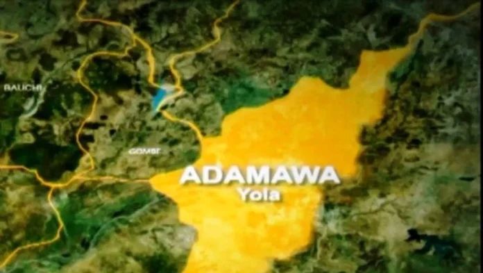 Man killed while delivering payment to kidnappers in Adamawa