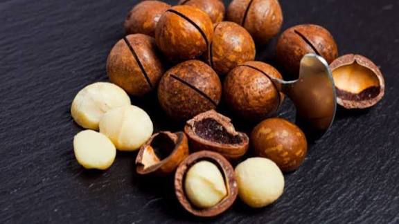 Shea stakeholders urge FG to license buyers, protect pickers