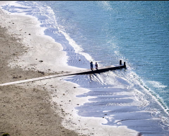 Wellington sewage leak sparks environmental disaster fears as millions of litres flow into the sea