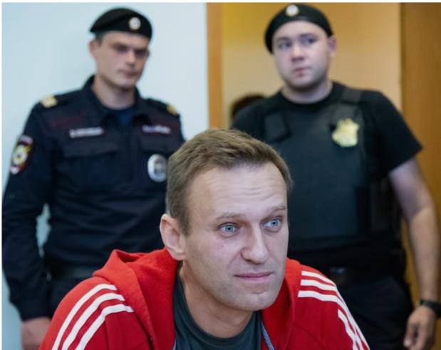 Russia Killed Alexei Navalny With Frog Toxin, Western Intelligence Agencies Conclude