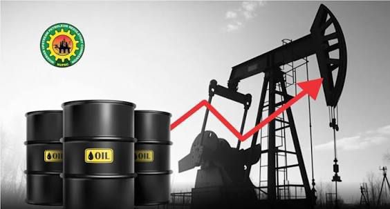 NUPRC enforces drill-or-drop rule for oil blocks
