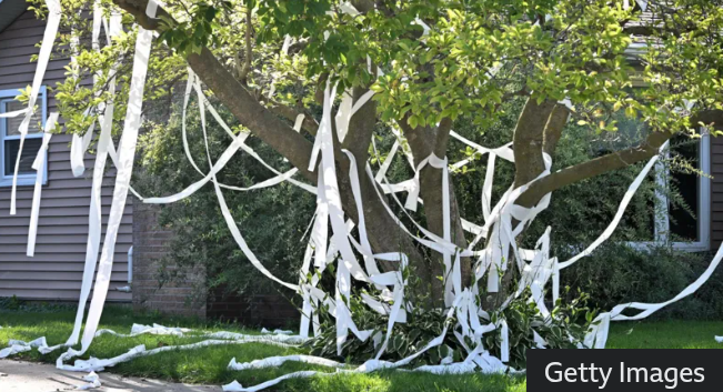Georgia High School Teacher Dies After Toilet Paper Prank Accident