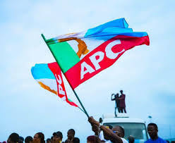 APC Ibadan North East