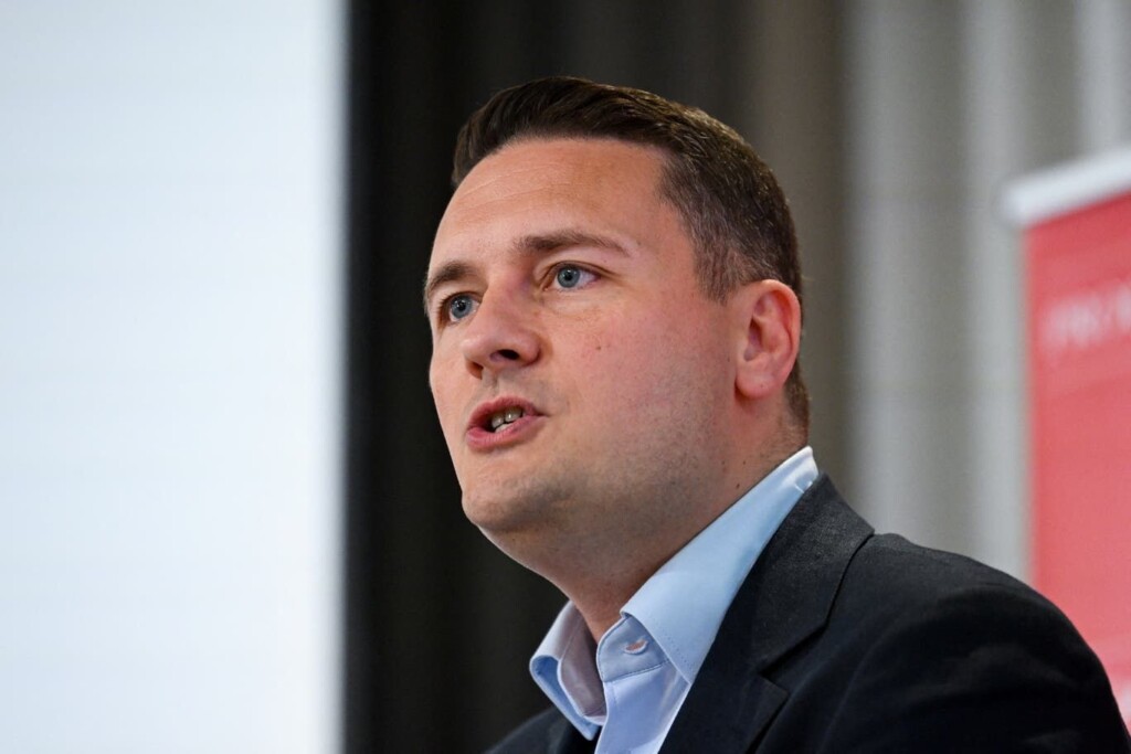 Wes Streeting Labour leadership bid: Britain must rejoin EU as party faces Brexit rift