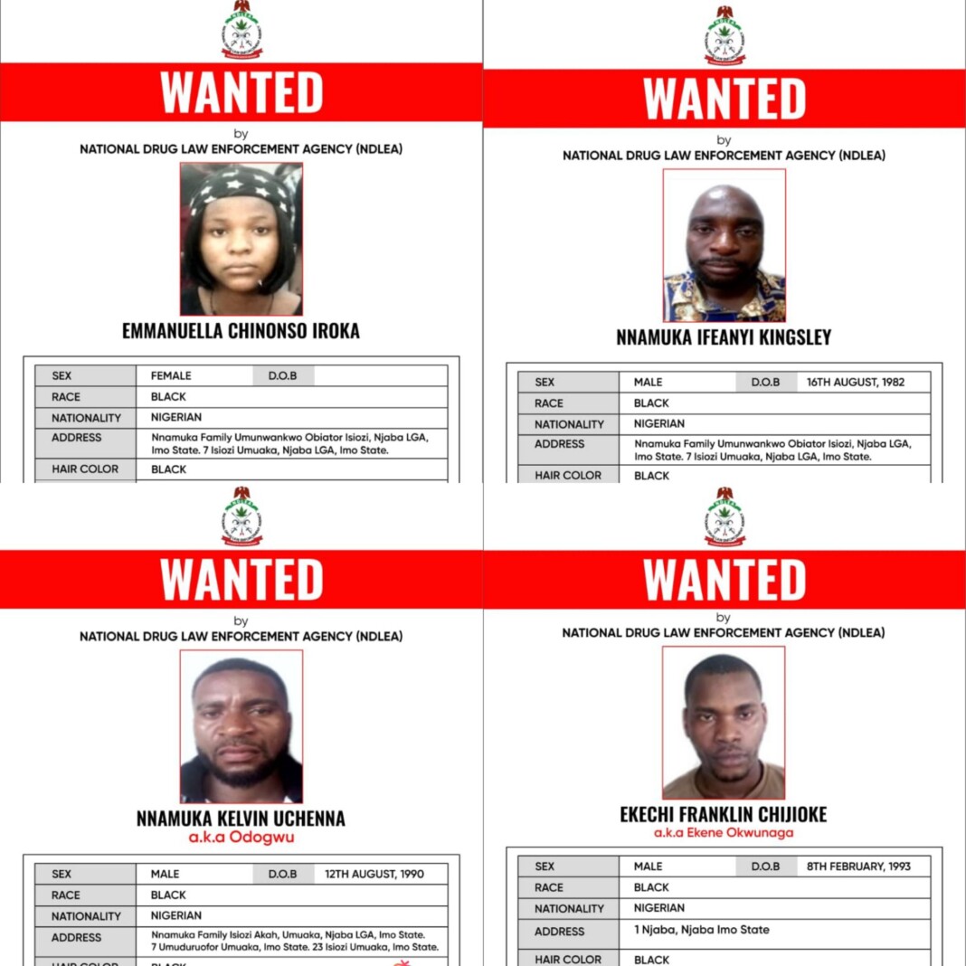 NDLEA declares four wanted, freezes ₦9.84bn linked to alleged Imo meth lab