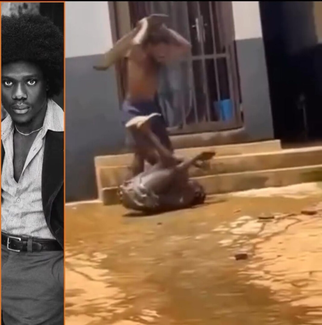 Ibrahim Ibee Mbaya: SPEC demands justice over alleged killing of UNIJOS student